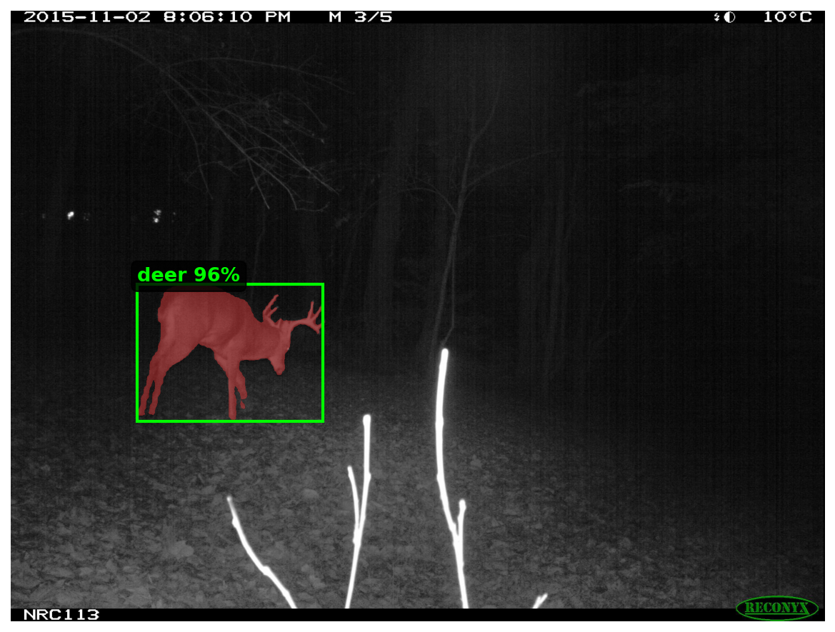 Example Segmentation