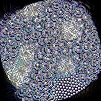 Diego Porres's profile picture