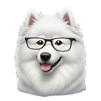 Hao Yin's profile picture